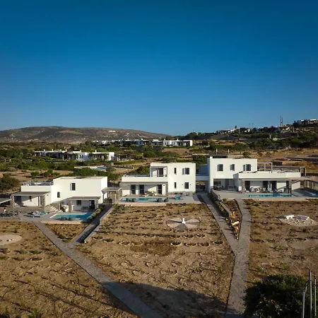 Olea Paros * Isterni (Paros)